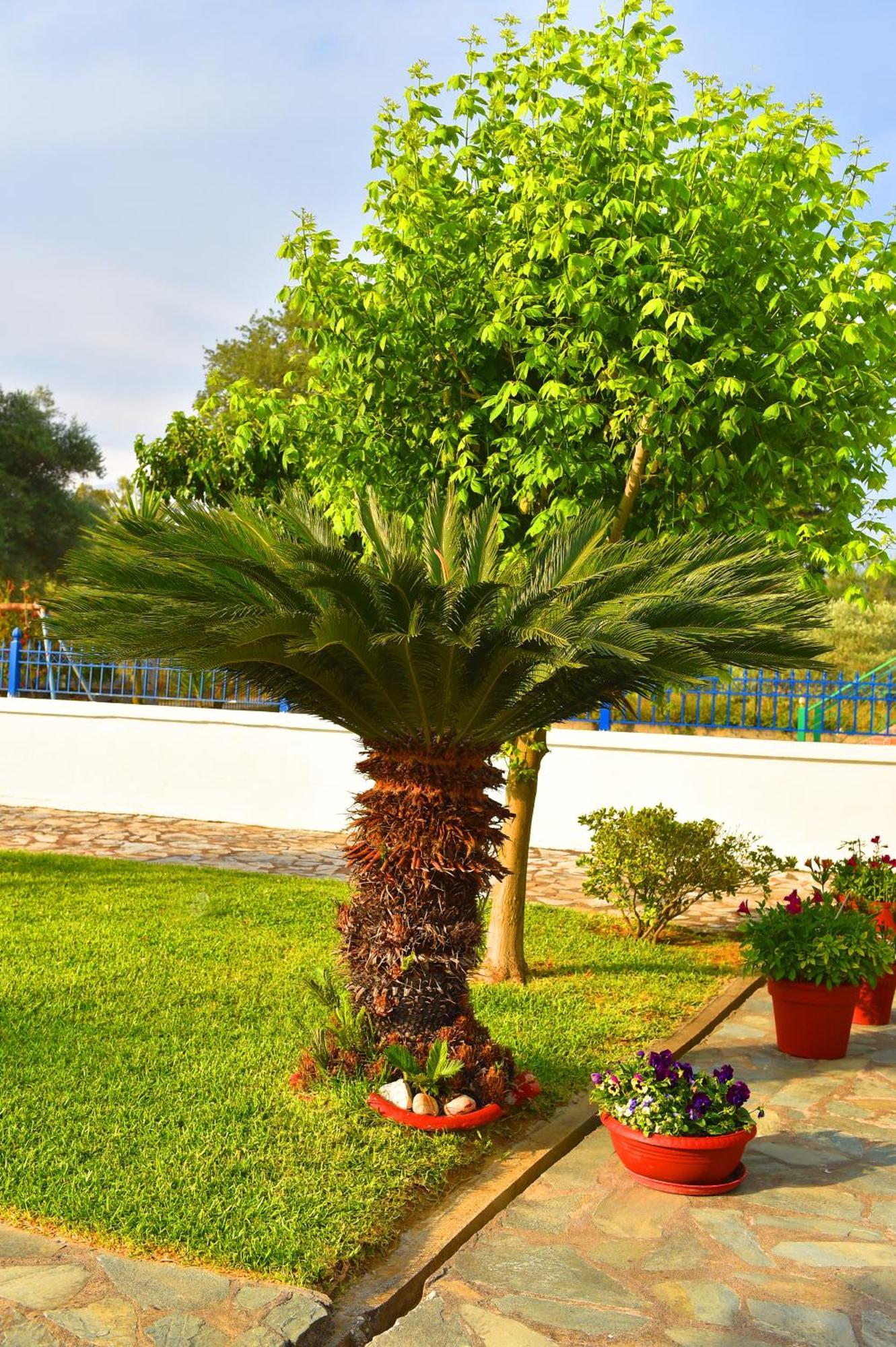 Villa Elpida Канали Экстерьер фото